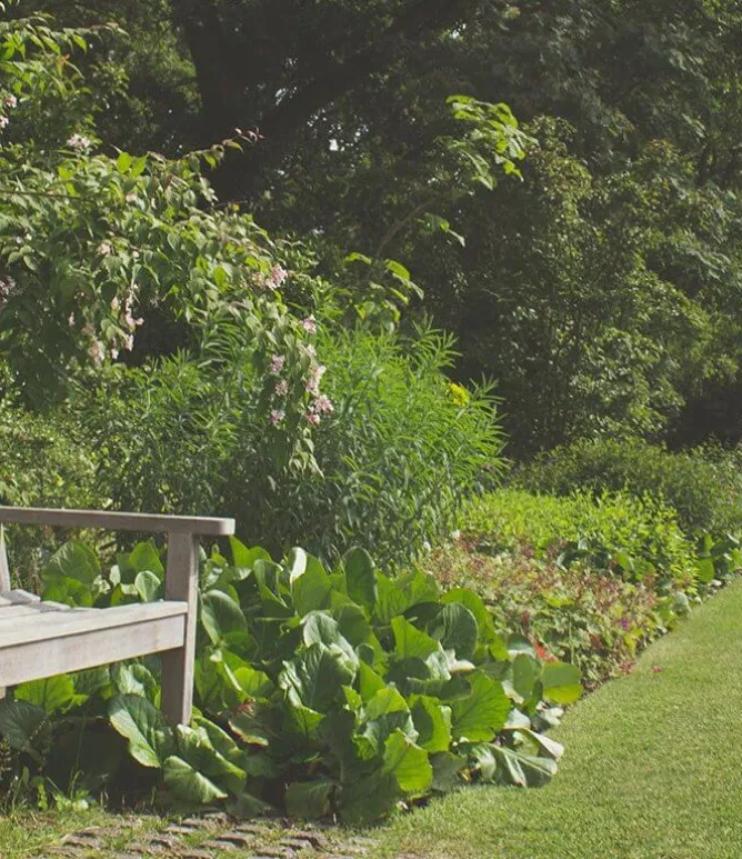 Tuin met bank